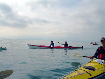 DSC02656